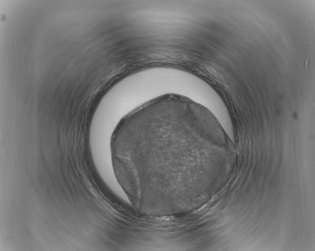 X0000088030456200705251121