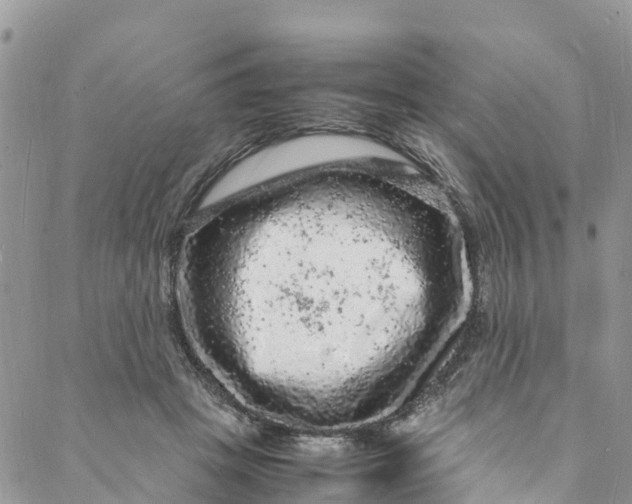 X0000088030457200705251121