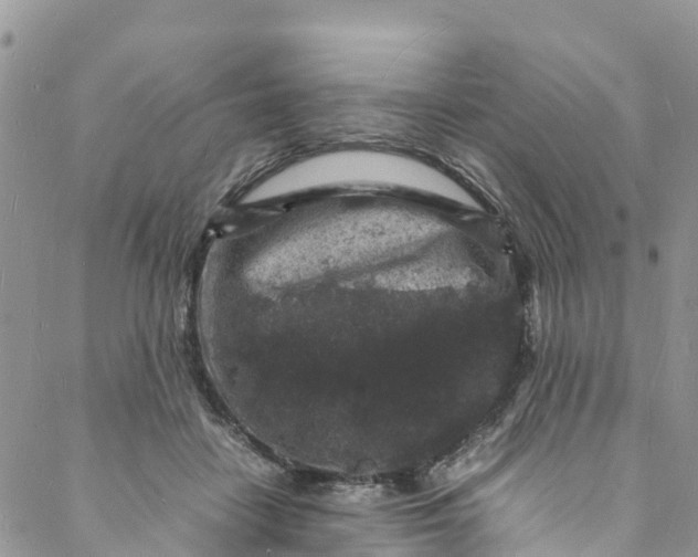 X0000088030458200705251121