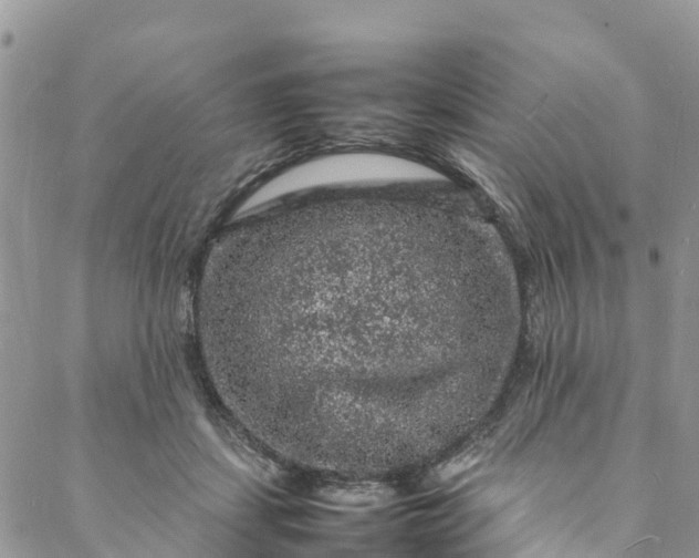 X0000088030459200705251121