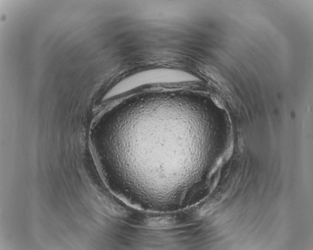 X0000088030461200705251121