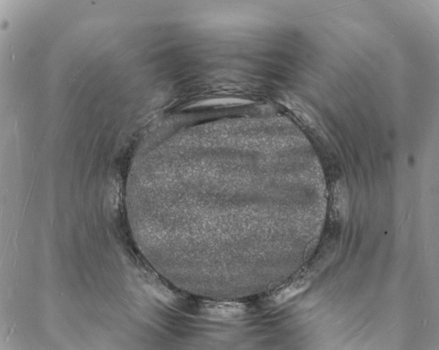 X0000088030463200705251121