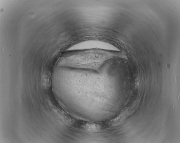 X0000088030464200705251121