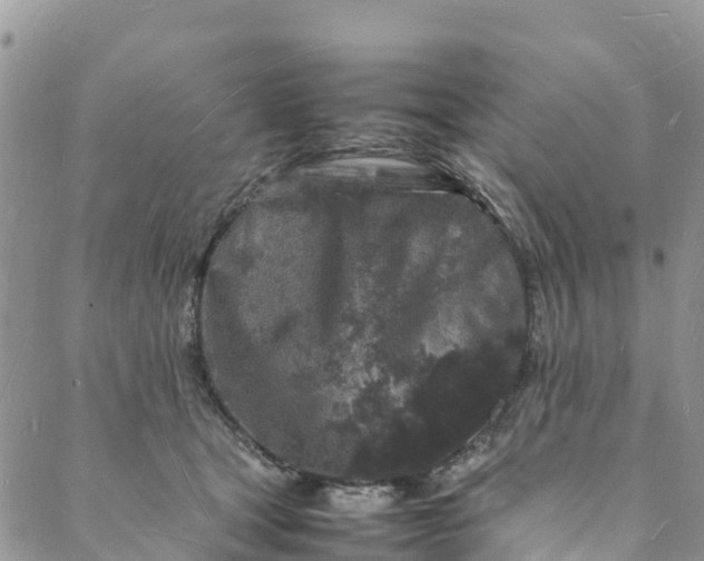 X0000088030465200705251121