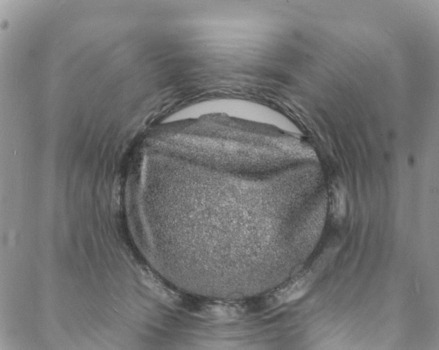 X0000088030466200705251121