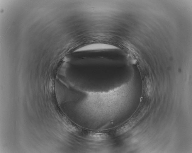 X0000088030467200705251121