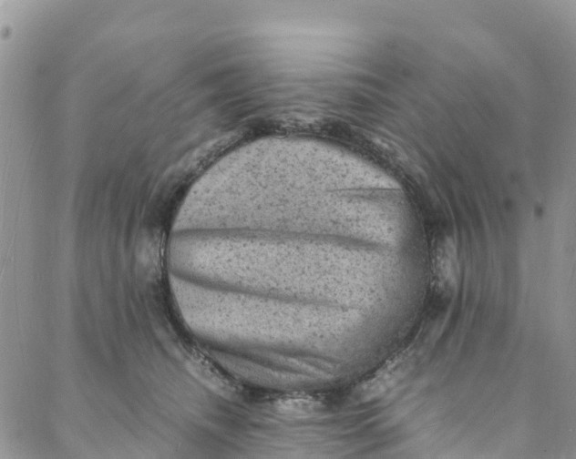 X0000088030468200705251121