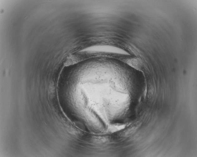 X0000088030469200705251121