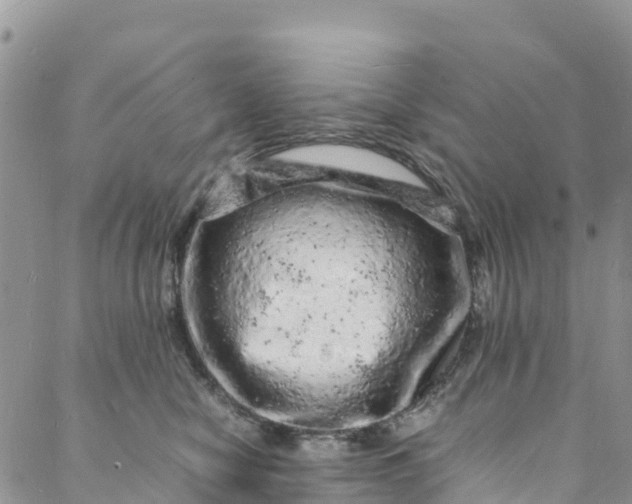 X0000088030470200705251121