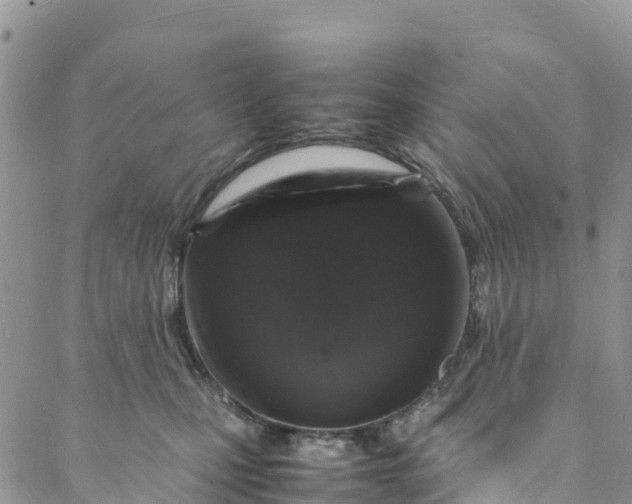 X0000088030471200705251121