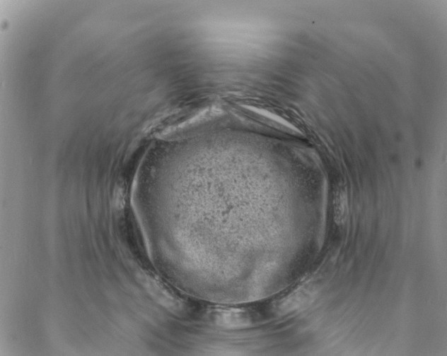 X0000088030472200705251121