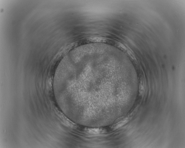 X0000088030473200705251121