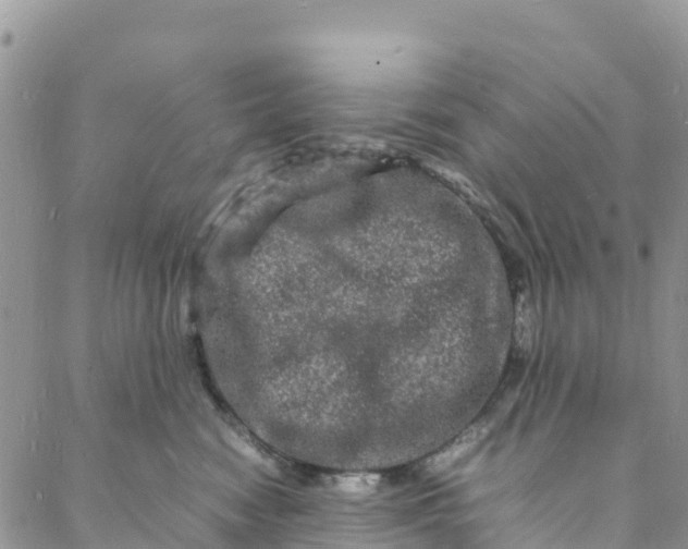 X0000088030474200705251121