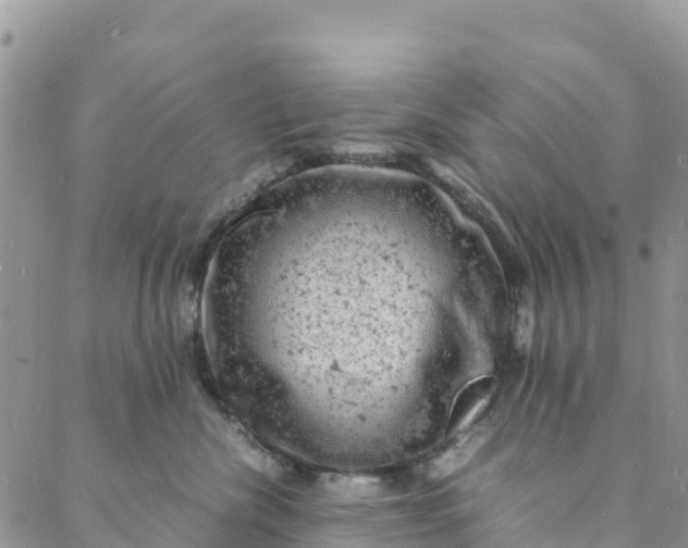 X0000088030476200705251121