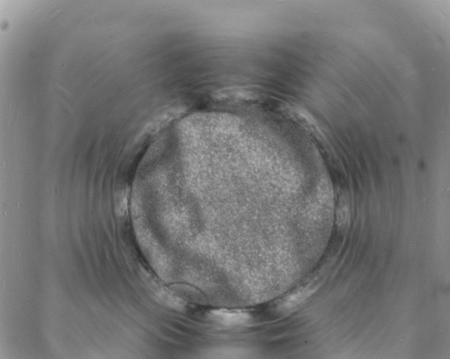 X0000088030477200705251121