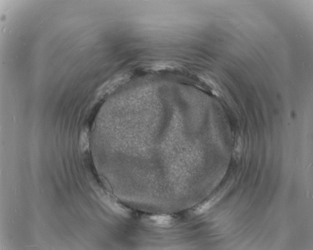 X0000088030478200705251121