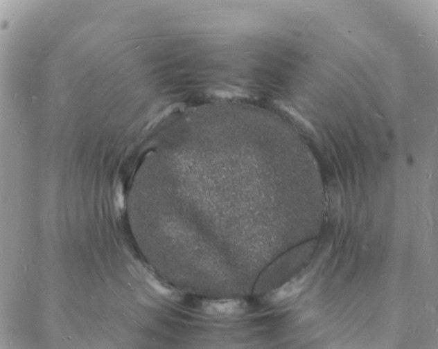 X0000088030479200705251121