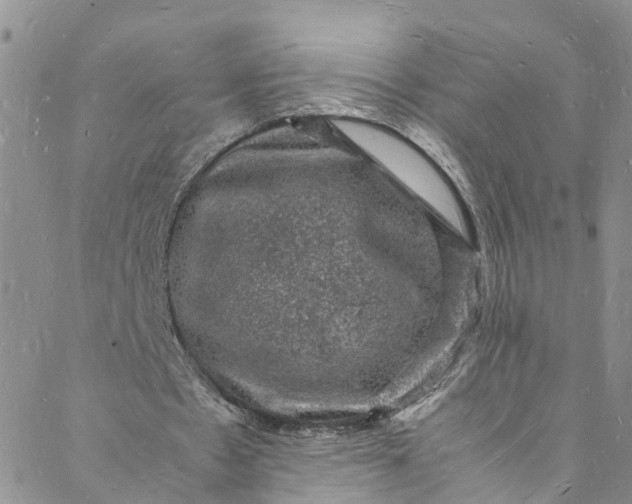 X0000088030481200705251120