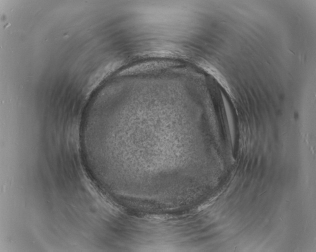 X0000088030482200705251120