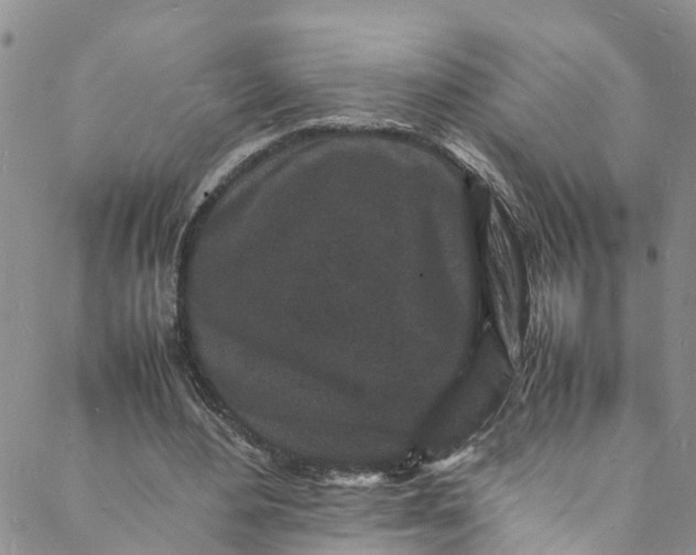 X0000088030484200705251120