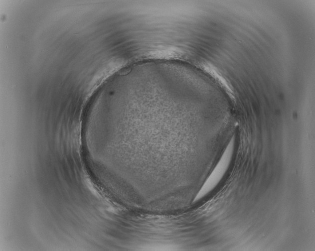 X0000088030486200705251120