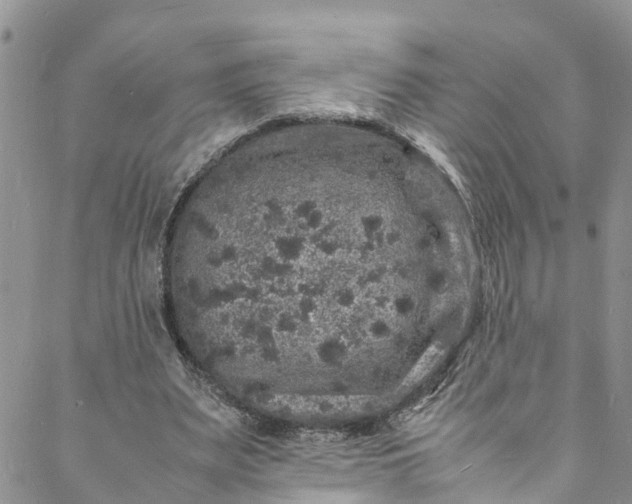 X0000088030487200705251120