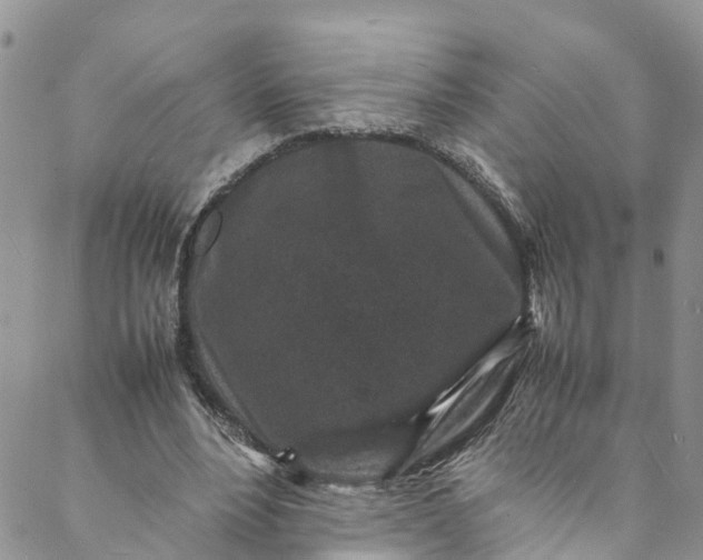 X0000088030488200705251120