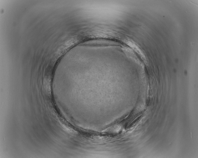 X0000088030489200705251120