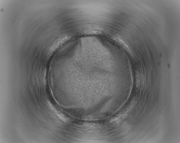 X0000088030490200705251120