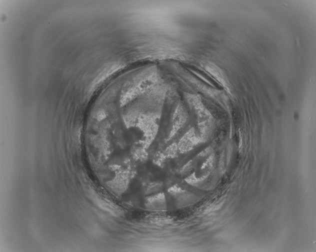 X0000088030491200705251120