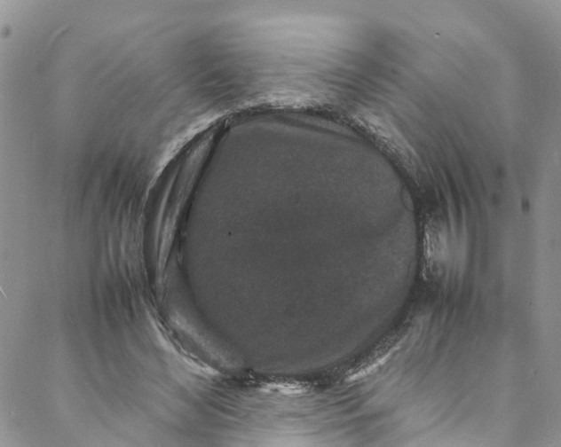 X0000088030492200705251120