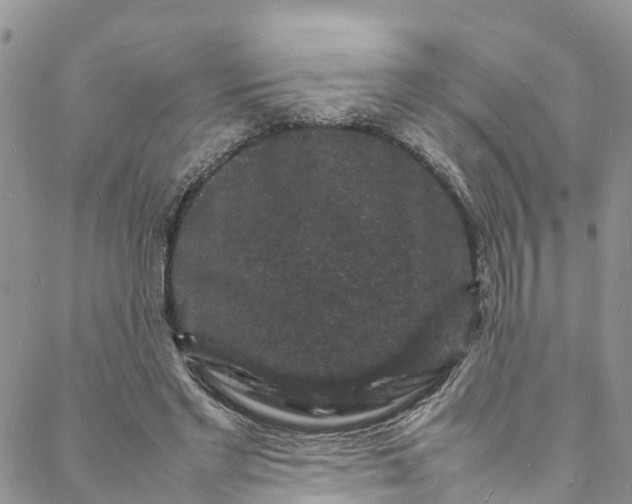 X0000088030493200705251120