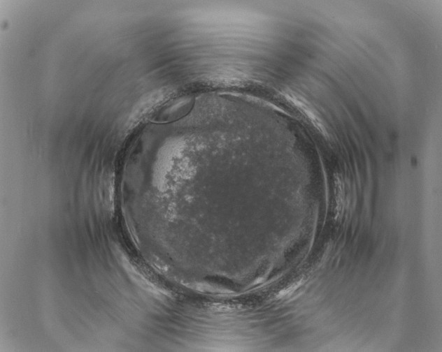 X0000088030494200705251120