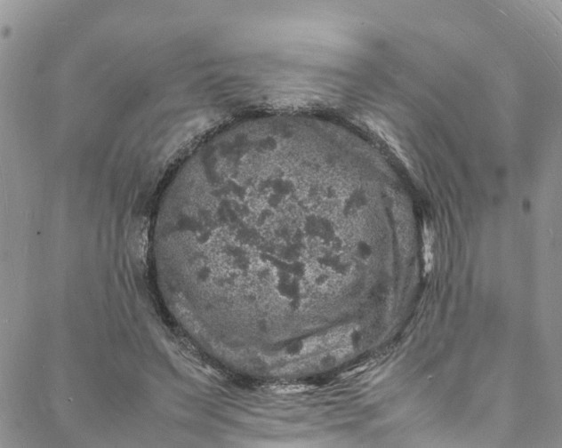 X0000088030495200705251120