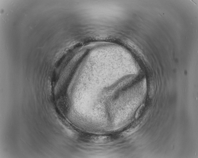 X0000088030497200705251120