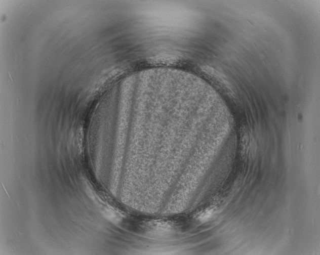 X0000088030498200705251120