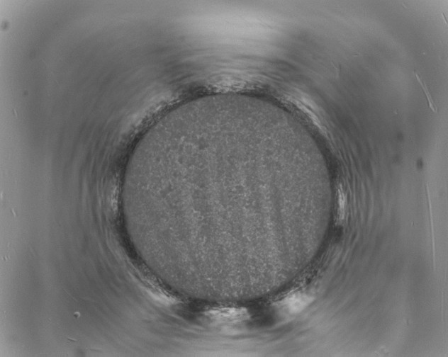 X0000088030499200705251120