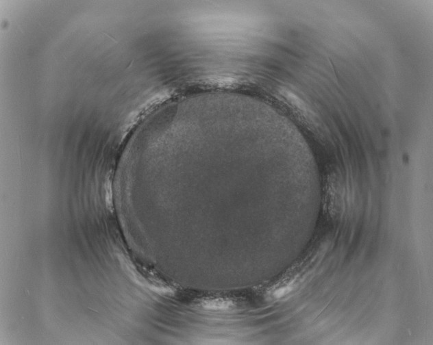 X0000088030500200705251120