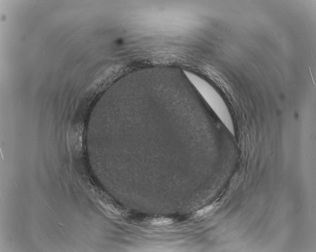 X0000088030501200705251120