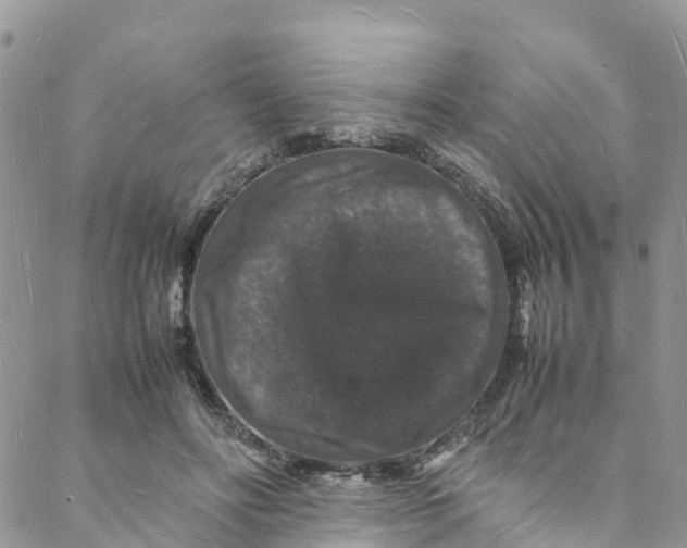 X0000088030502200705251120