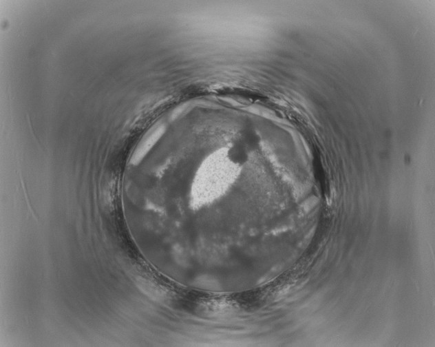 X0000088030503200705251120