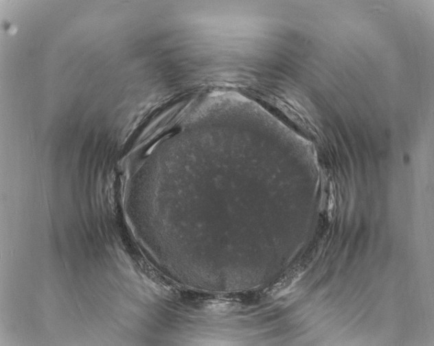 X0000088030504200705251120