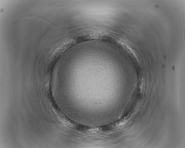 X0000088030505200705251120