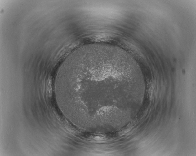 X0000088030506200705251120