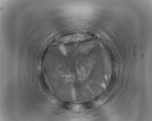 X0000088030507200705251120