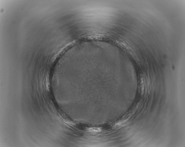 X0000088030508200705251120