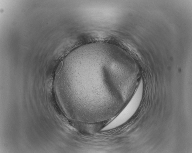 X0000088030509200705251120