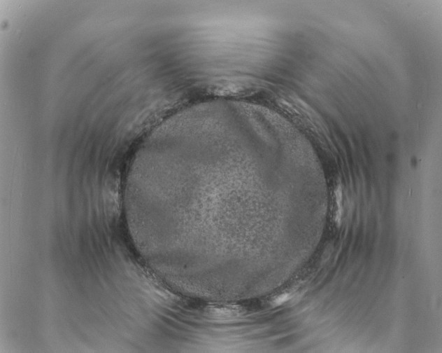 X0000088030510200705251120