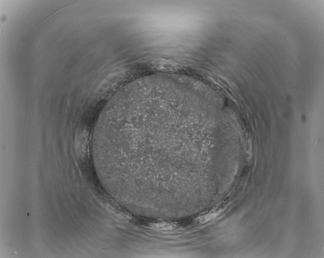 X0000088030511200705251120