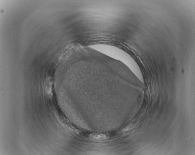 X0000088030512200705251120